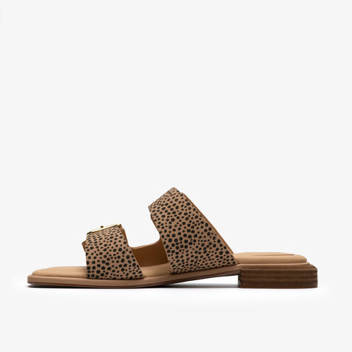 Ariany Bay
Imprim��